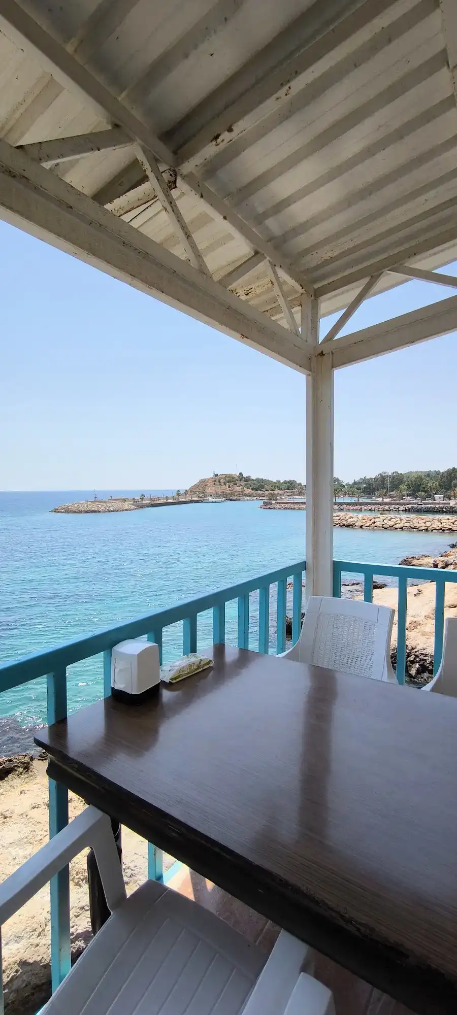 Arsinoe Restoran fotoğraf 3
