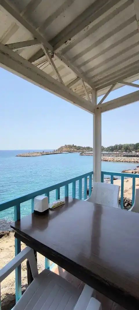 Arsinoe Restoran fotoğraf 3