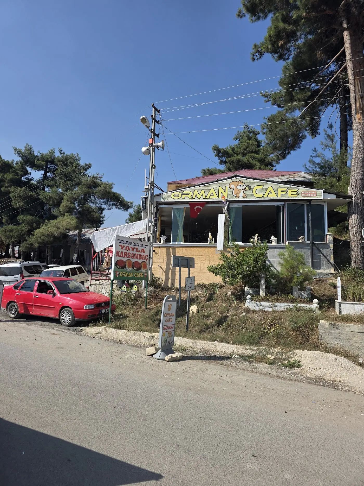 Orman Cafe