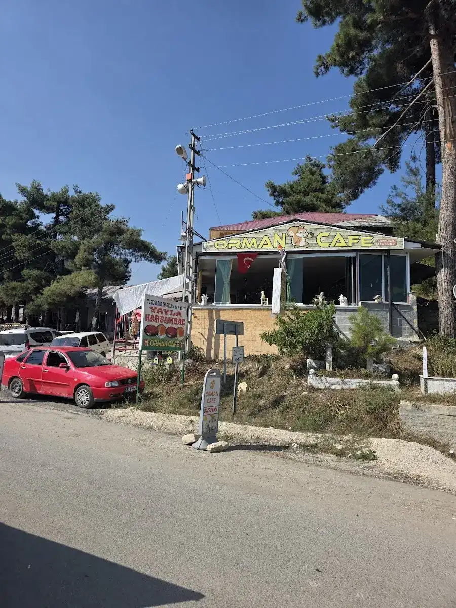 Orman Cafe
