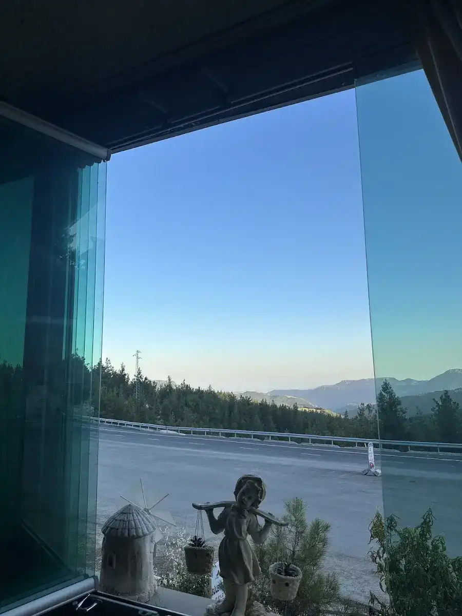 Orman Cafe fotoğraf 2