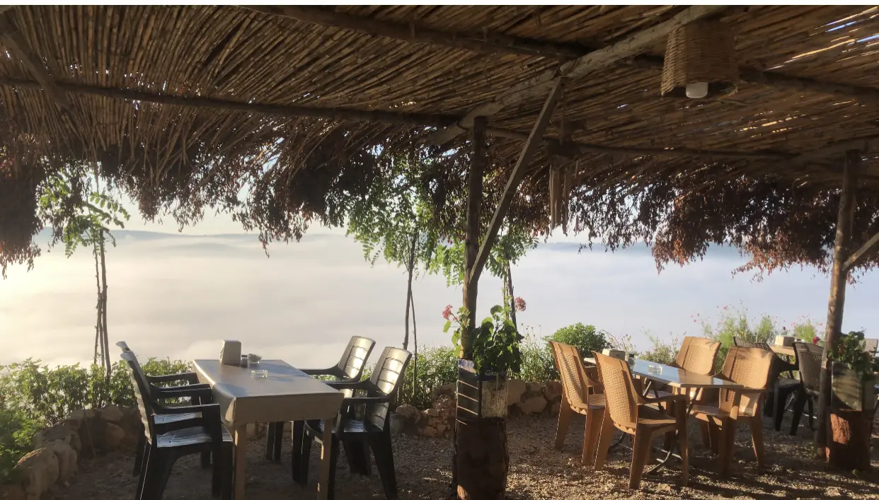Sarıkavak Yörük Otağı Sıkma Ayran