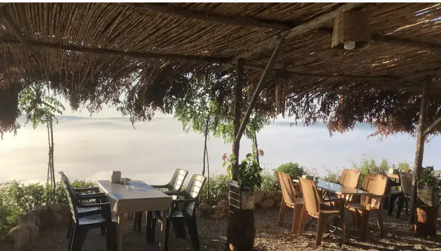 Sarıkavak Yörük Otağı Sıkma Ayran