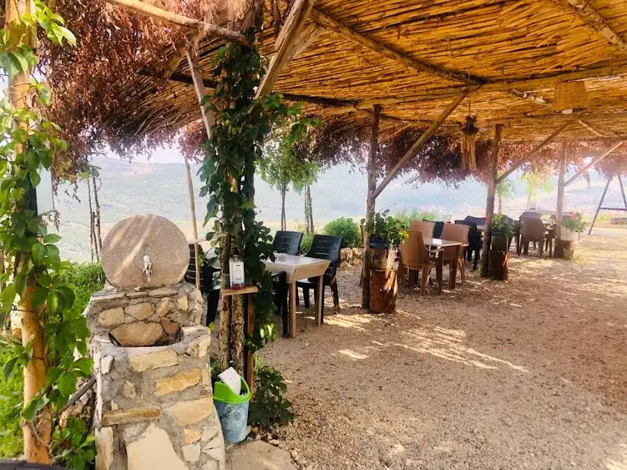 Sarıkavak Yörük Otağı Sıkma Ayran fotoğraf 3
