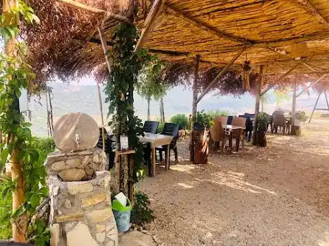 Sarıkavak Yörük Otağı Sıkma Ayran fotoğraf 3