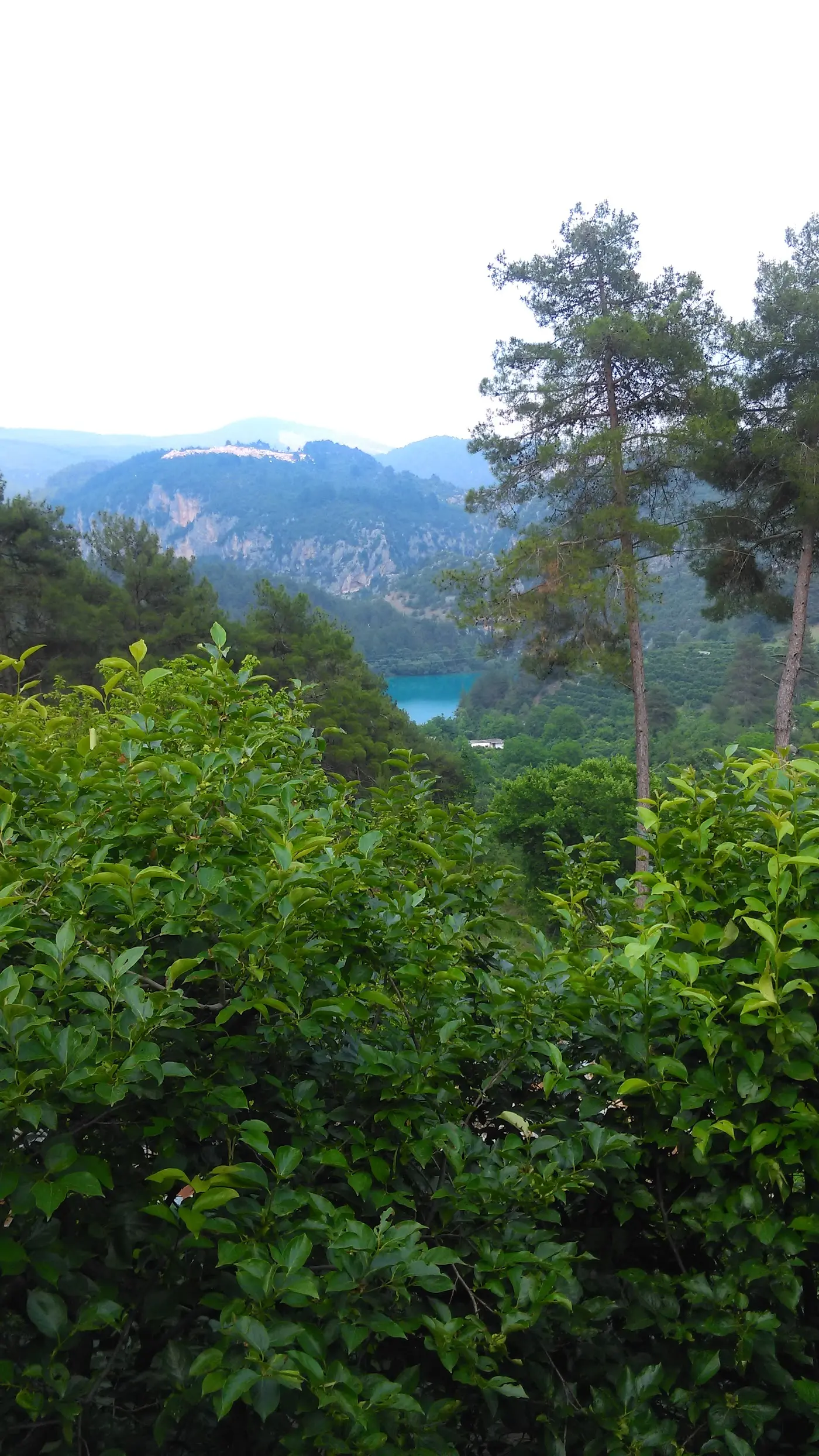 Şıh'ın Yeri RESTAURANT fotoğraf 2