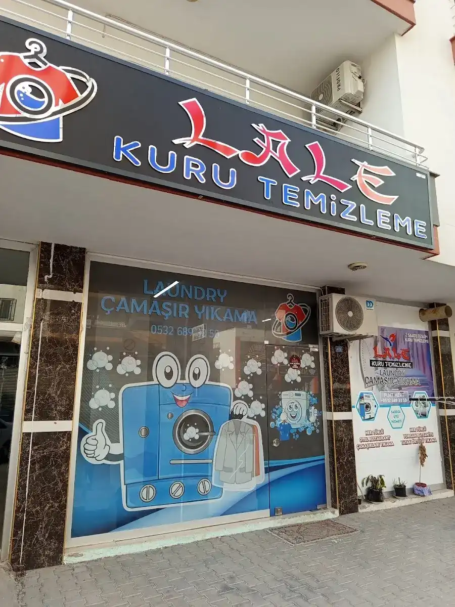 Lale Kuru Temizleme