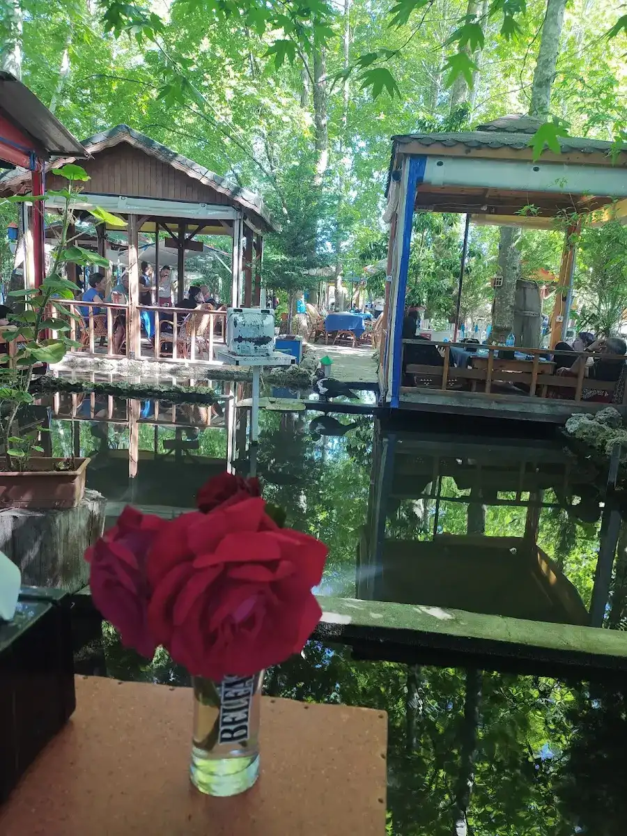 Petunya Restaurant fotoğraf 3