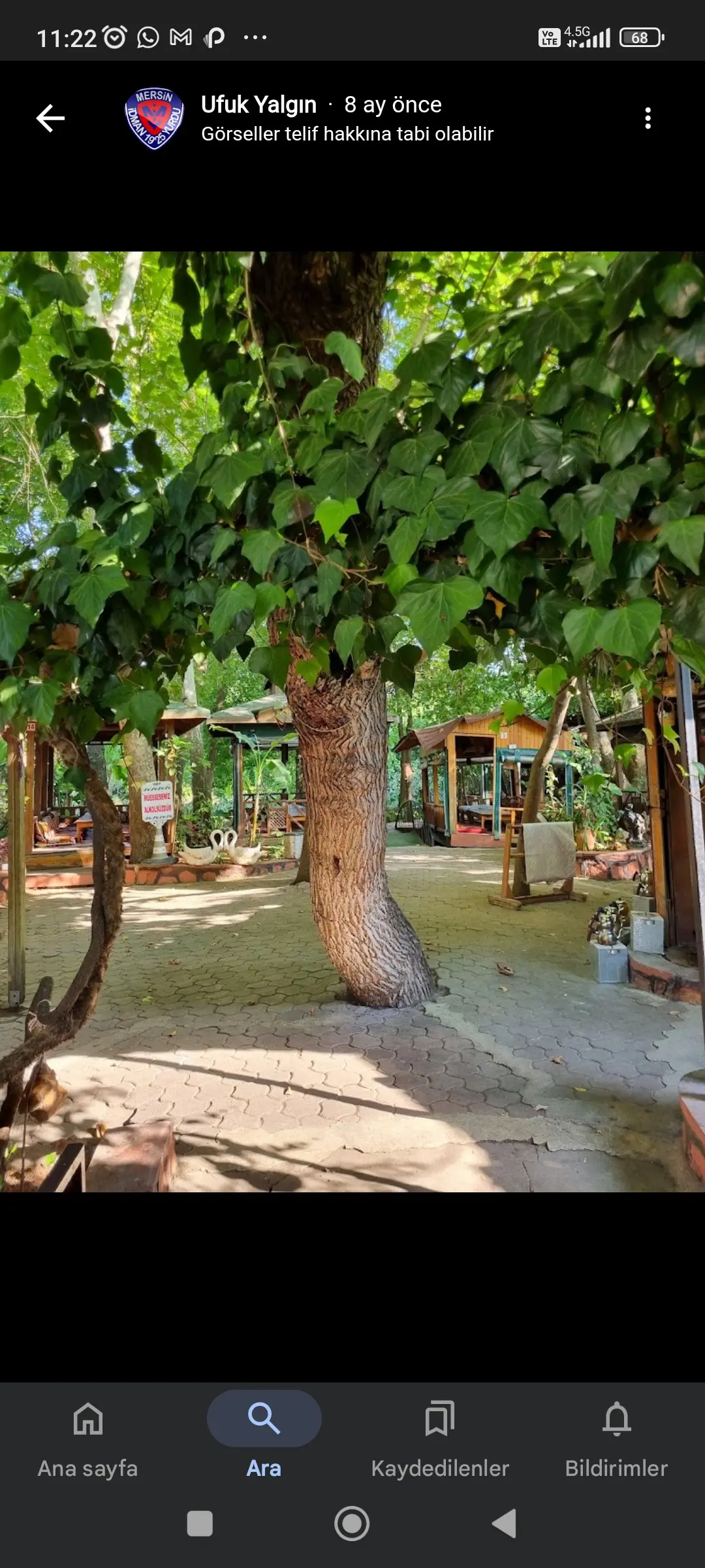 SERİNDERE RESTAURANT fotoğraf 3