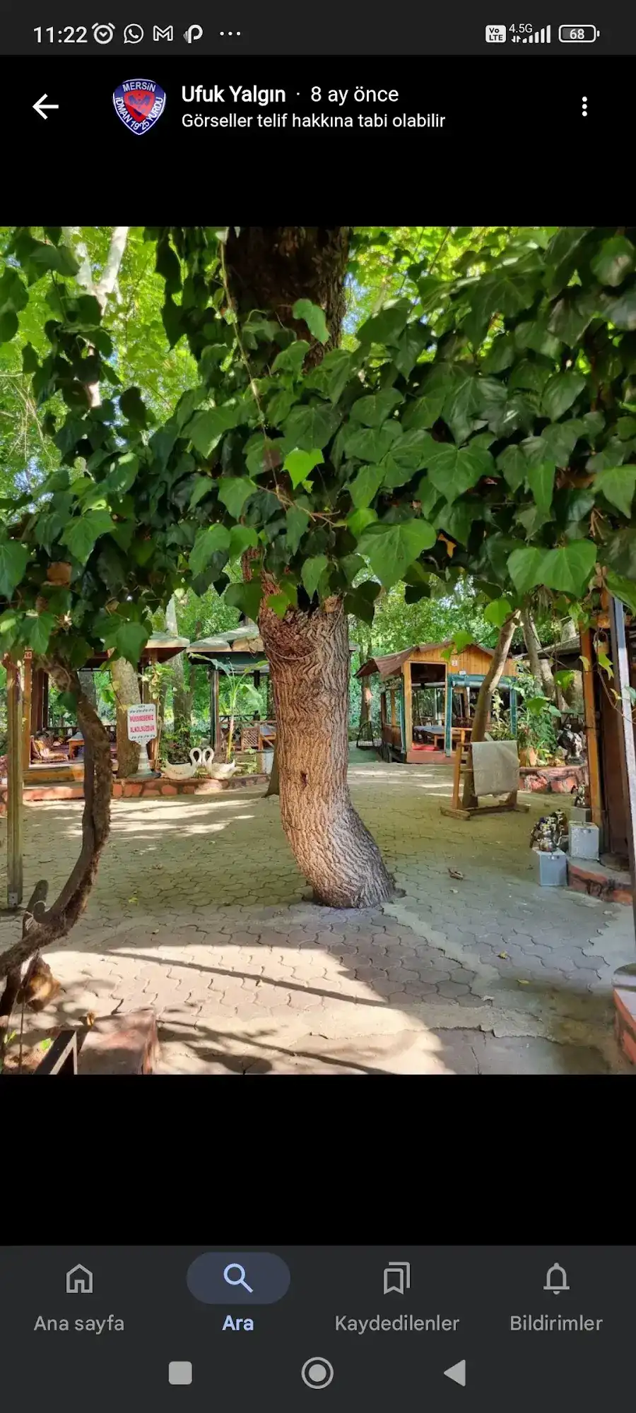 SERİNDERE RESTAURANT fotoğraf 3