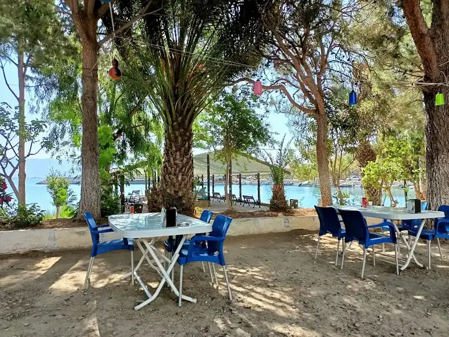 Ünlü Konaklama Kafe fotoğraf 2
