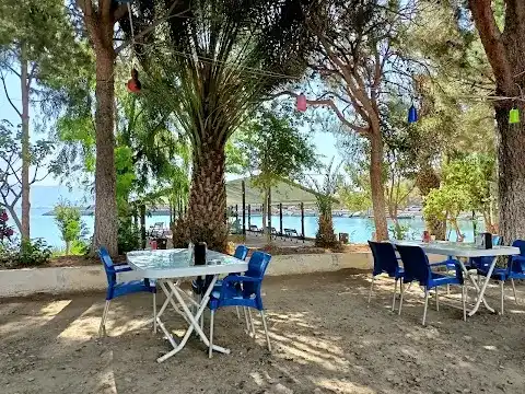 Ünlü Konaklama Kafe fotoğraf 2