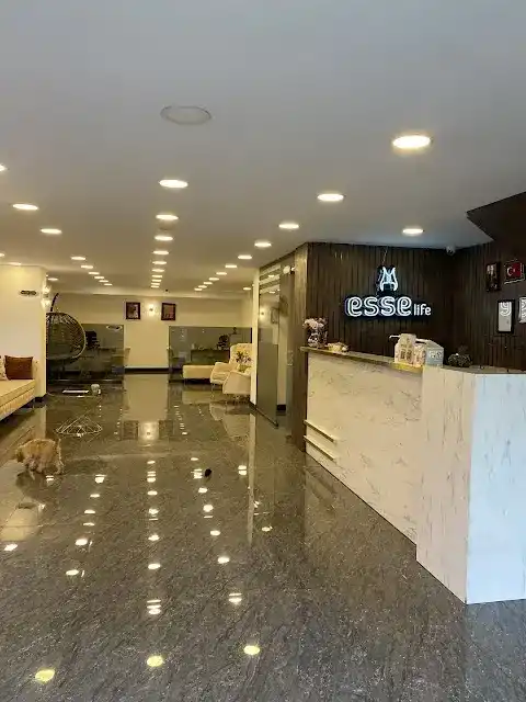 Esse Vip Mezitli Güzellik Merkezi