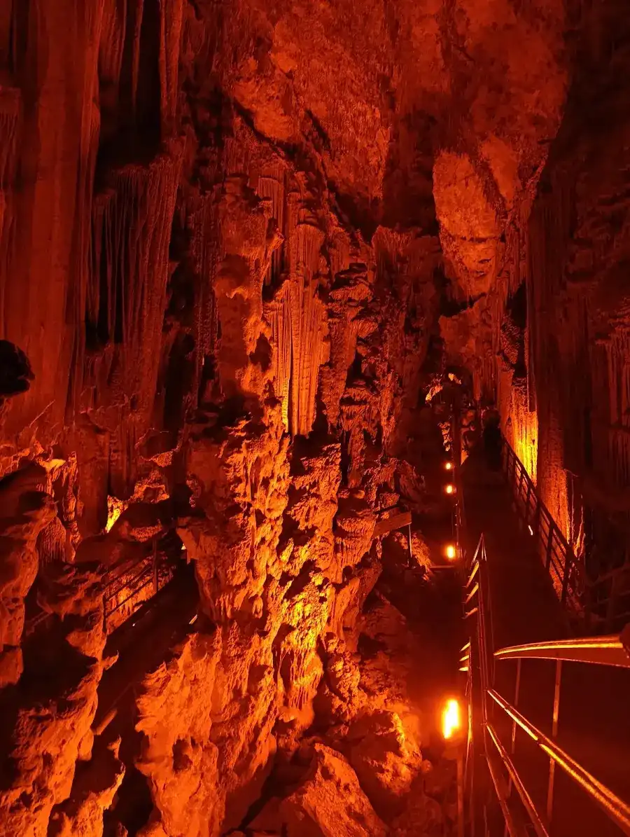 Astım kafeterya fotoğraf 3
