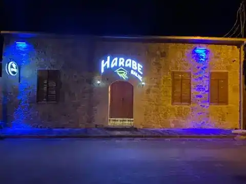 HARABE BALIK fotoğraf 3