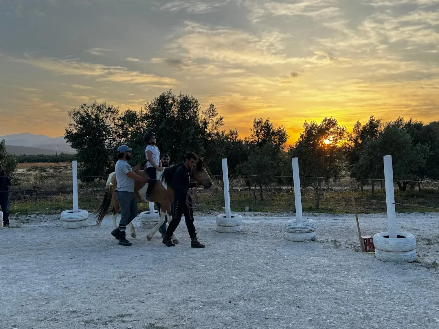 Horse & Dog Academy - Mersin Silifke At Çiftliği, Köpek Oteli ve Kahvaltı