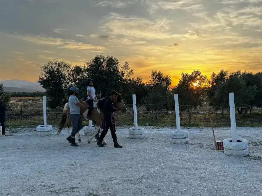 Horse & Dog Academy - Mersin Silifke At Çiftliği, Köpek Oteli ve Kahvaltı