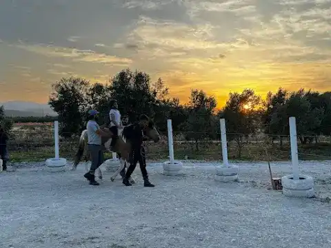 Horse & Dog Academy - Mersin Silifke At Çiftliği, Köpek Oteli ve Kahvaltı