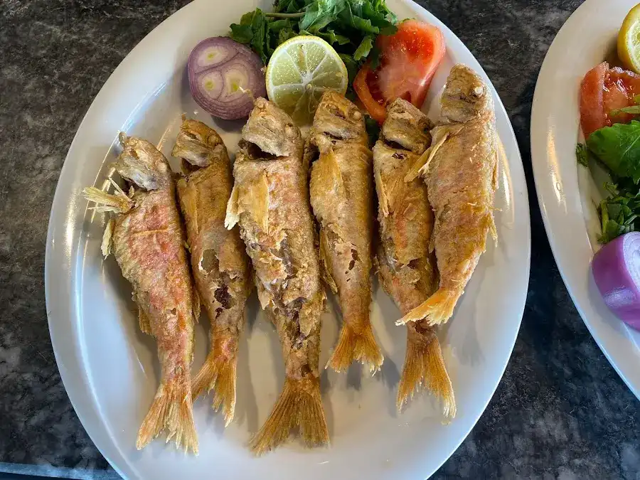 LaMoya Restaurant fotoğraf 2