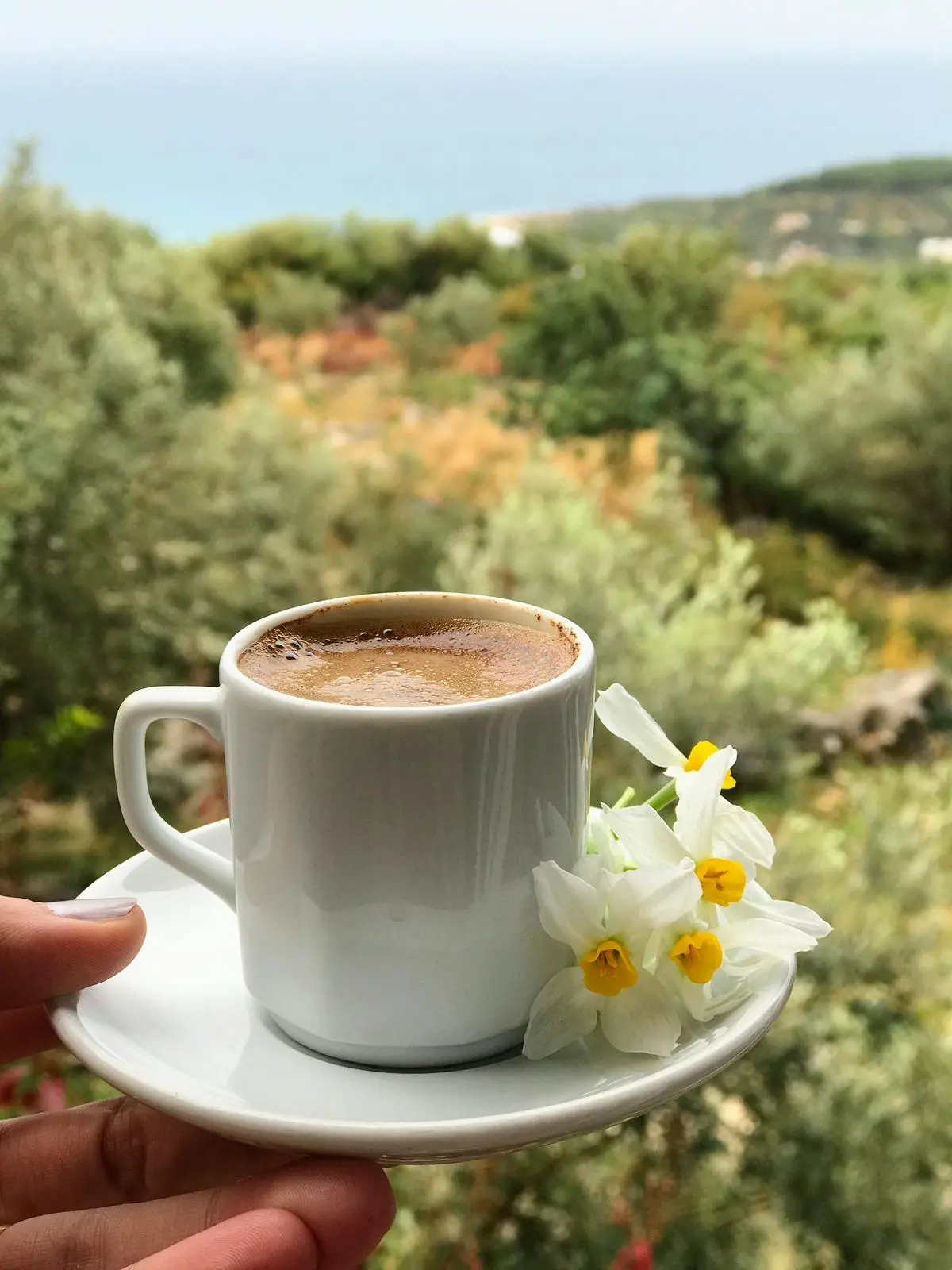 Narlıkuyu Ünlü Kahvaltı Salonu fotoğraf 2