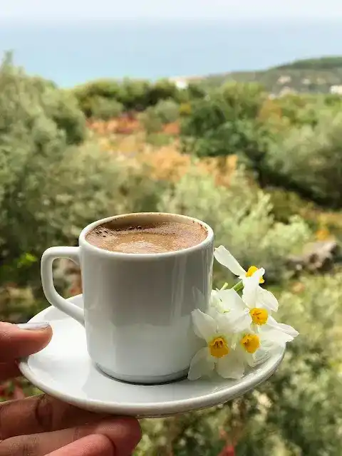 Narlıkuyu Ünlü Kahvaltı Salonu fotoğraf 2