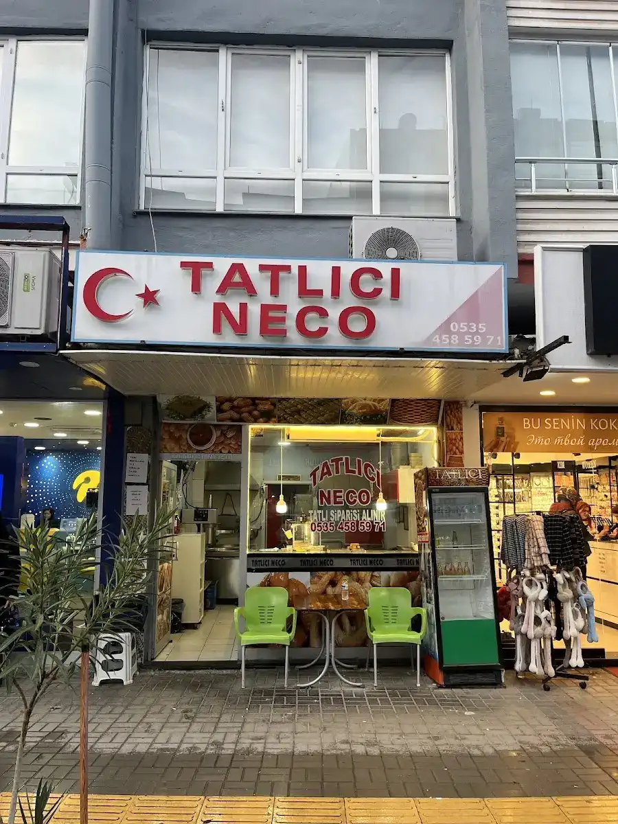 TATLICI NECO