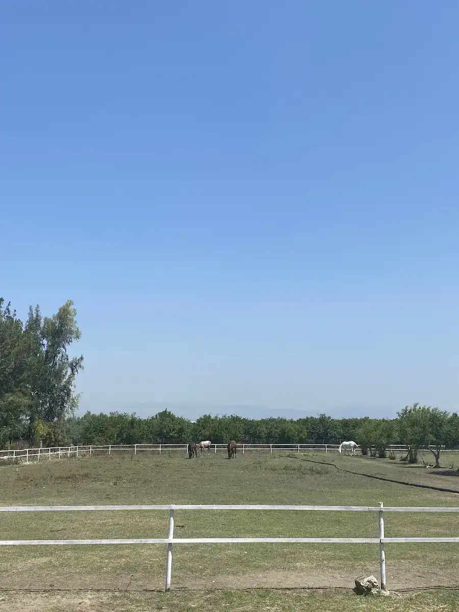 İPEK AT ÇİFTLİĞİ KAHVALTI BAHÇESİ fotoğraf 3