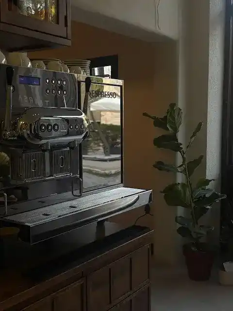 Taarsa fotoğraf 3