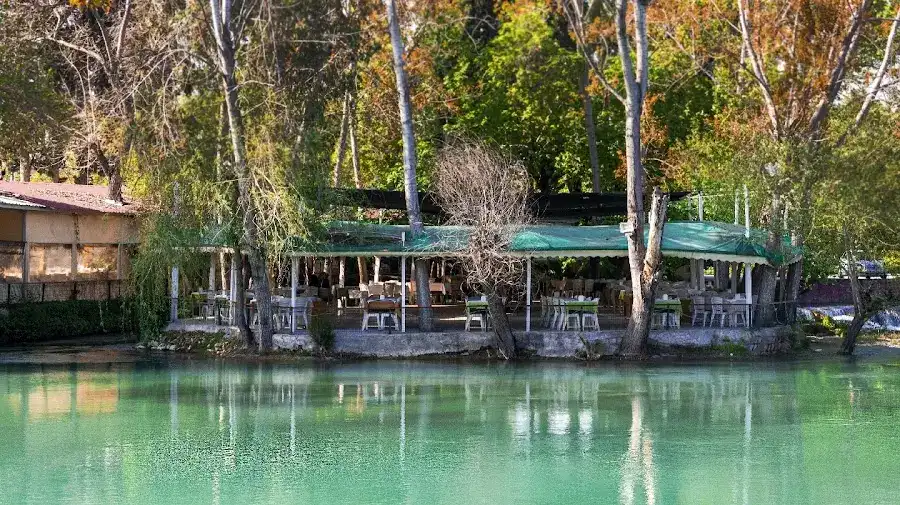 Tarsus Şelale Has Bahçe Restaurant fotoğraf 3