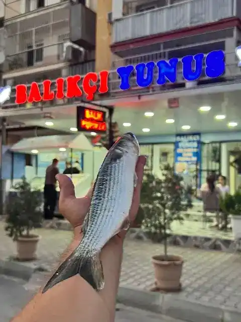 BALIKÇI YUNUS