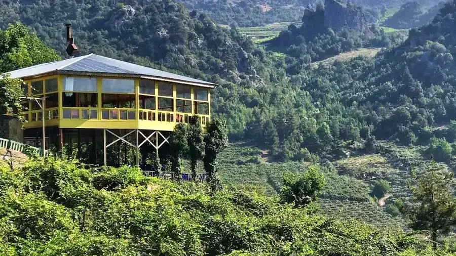 Santairas Restaurant fotoğraf 3