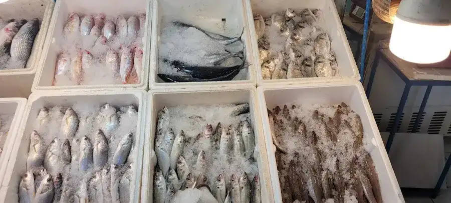 TOROSLAR BALIKÇILIK fotoğraf 2