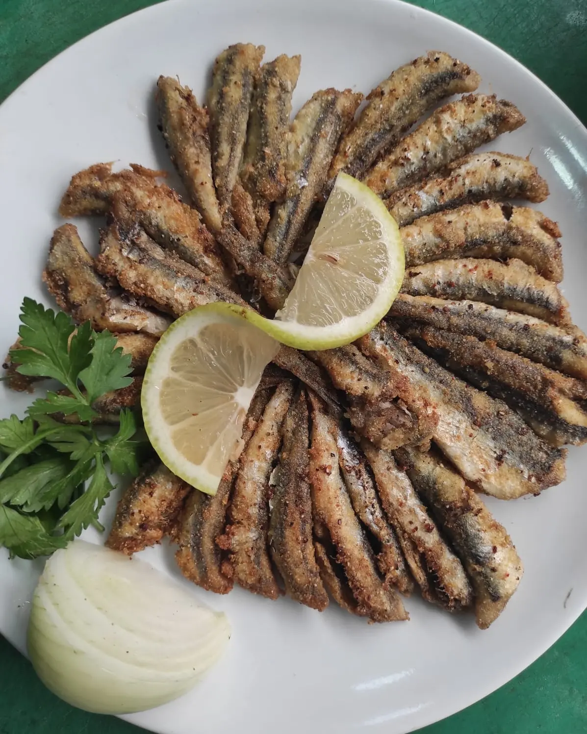 Önder Balıkçılık fotoğraf 2