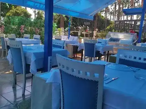 Orfoz Balık Restaurant