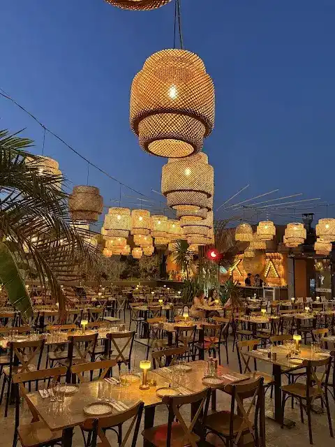 Zoka Restaurant Yeni nesil eğlence, Yeni nesil meyhane