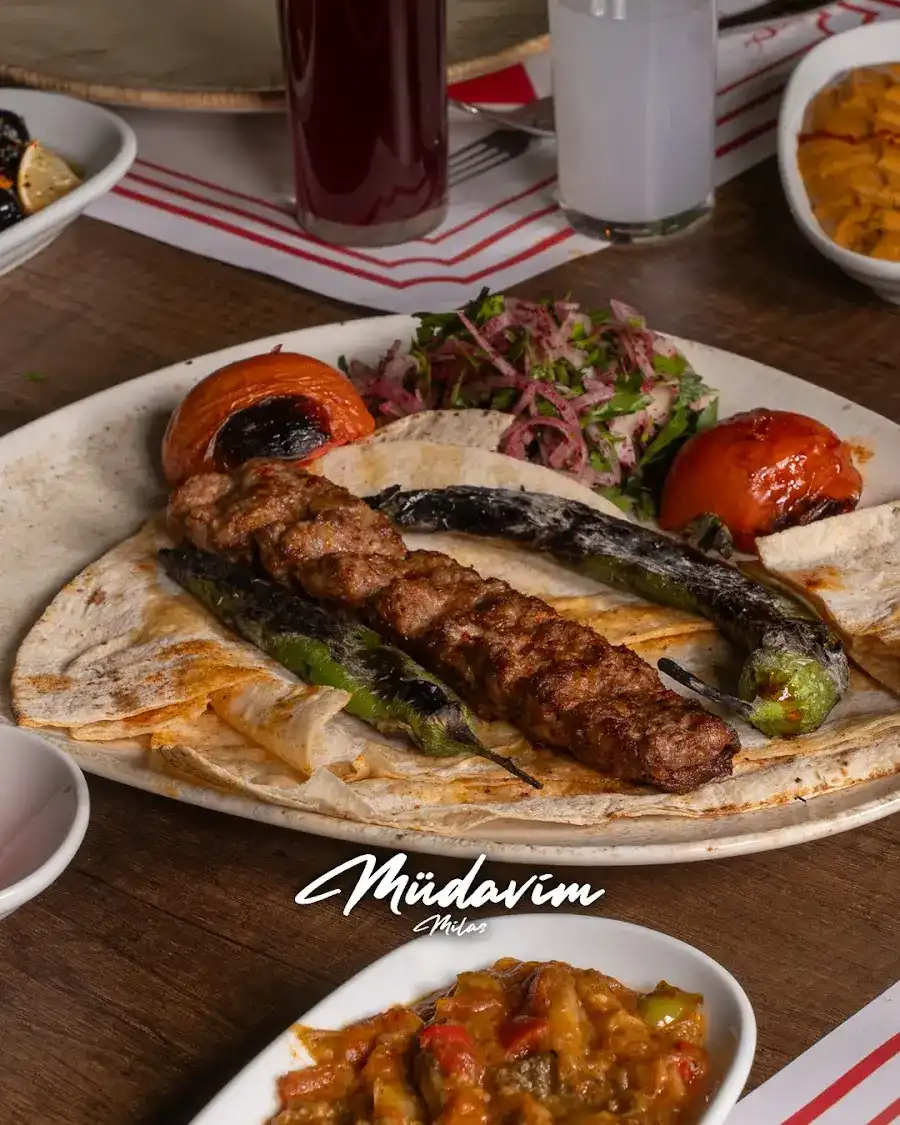 MÜDAVİM MİLAS fotoğraf 2