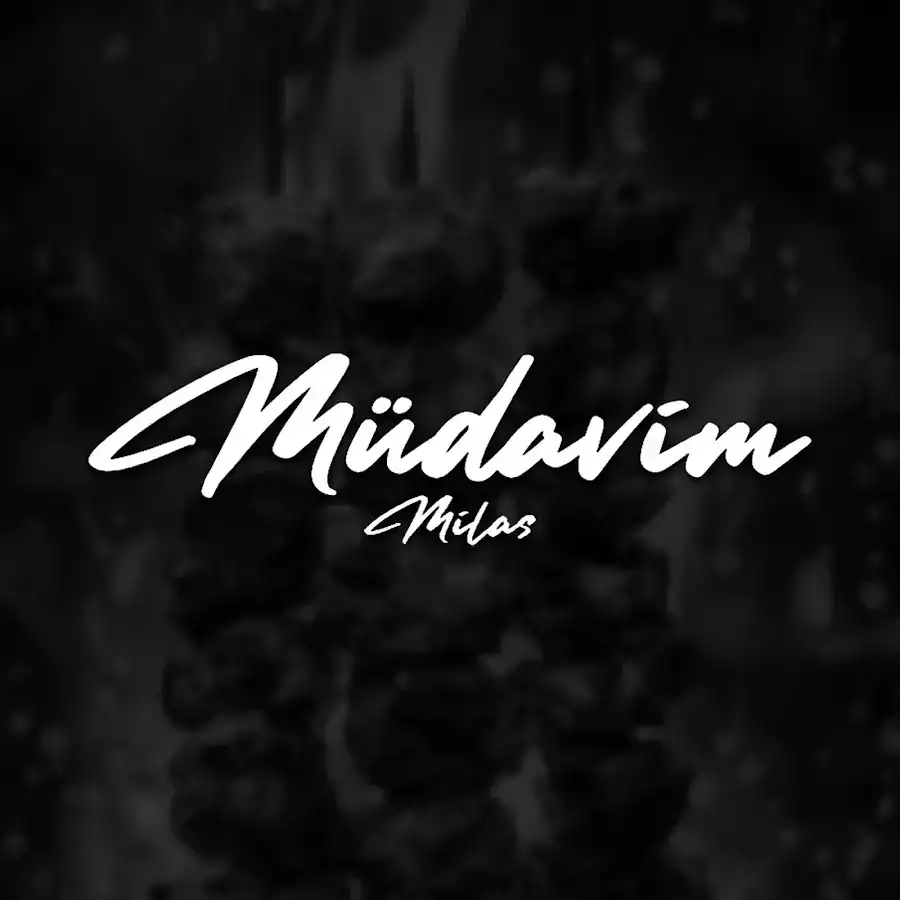 MÜDAVİM MİLAS fotoğraf 3