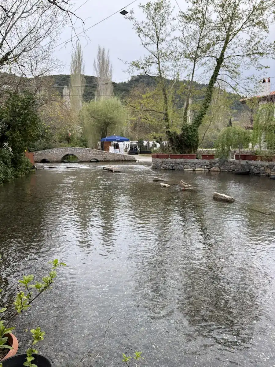 Küçük Azmak Aplangeç kahvaltı & çay bahcesi fotoğraf 3