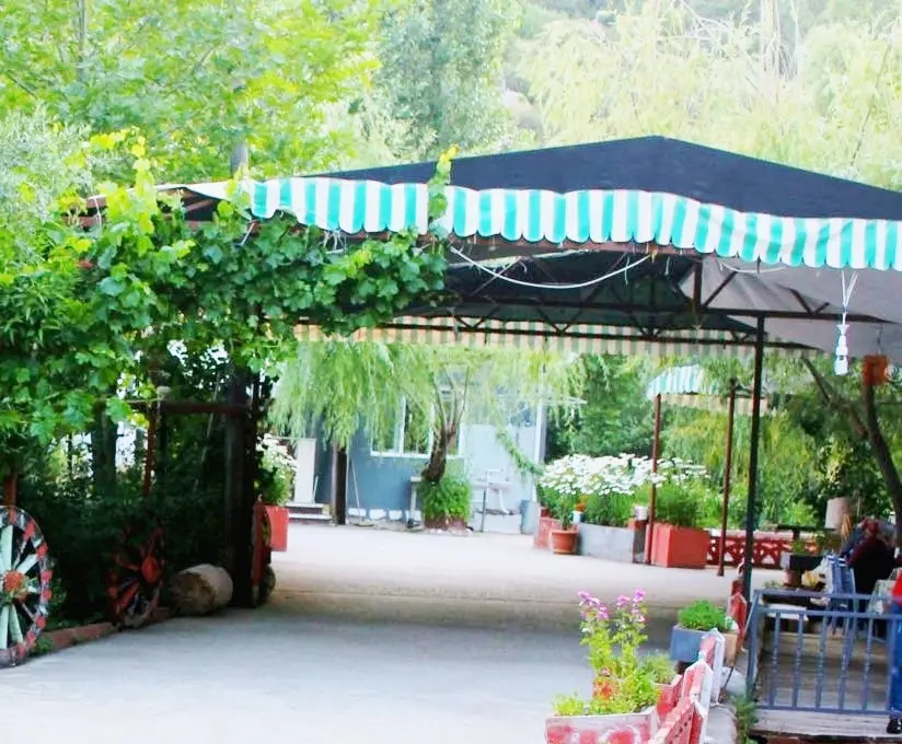 Çetmihan Balık Restaurant fotoğraf 3