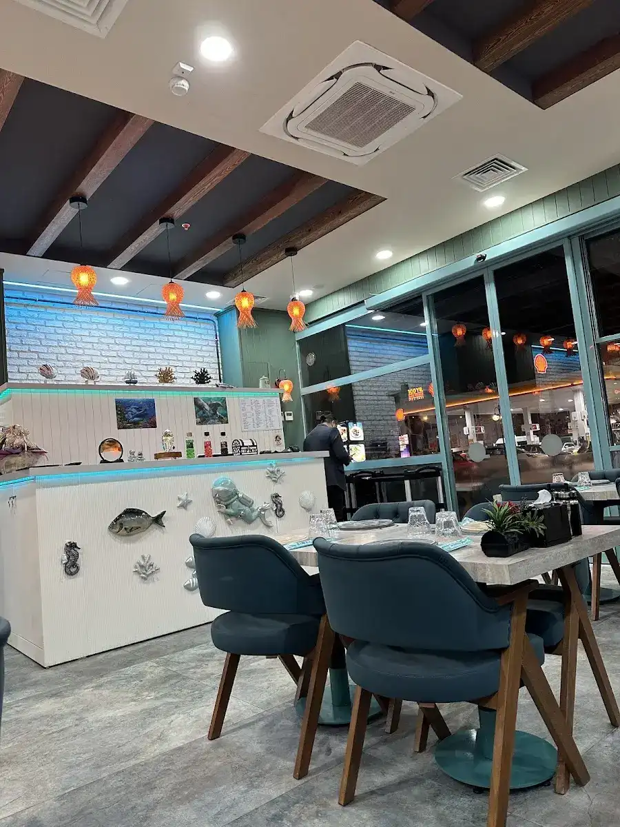 Special Balık Dünyası fotoğraf 3