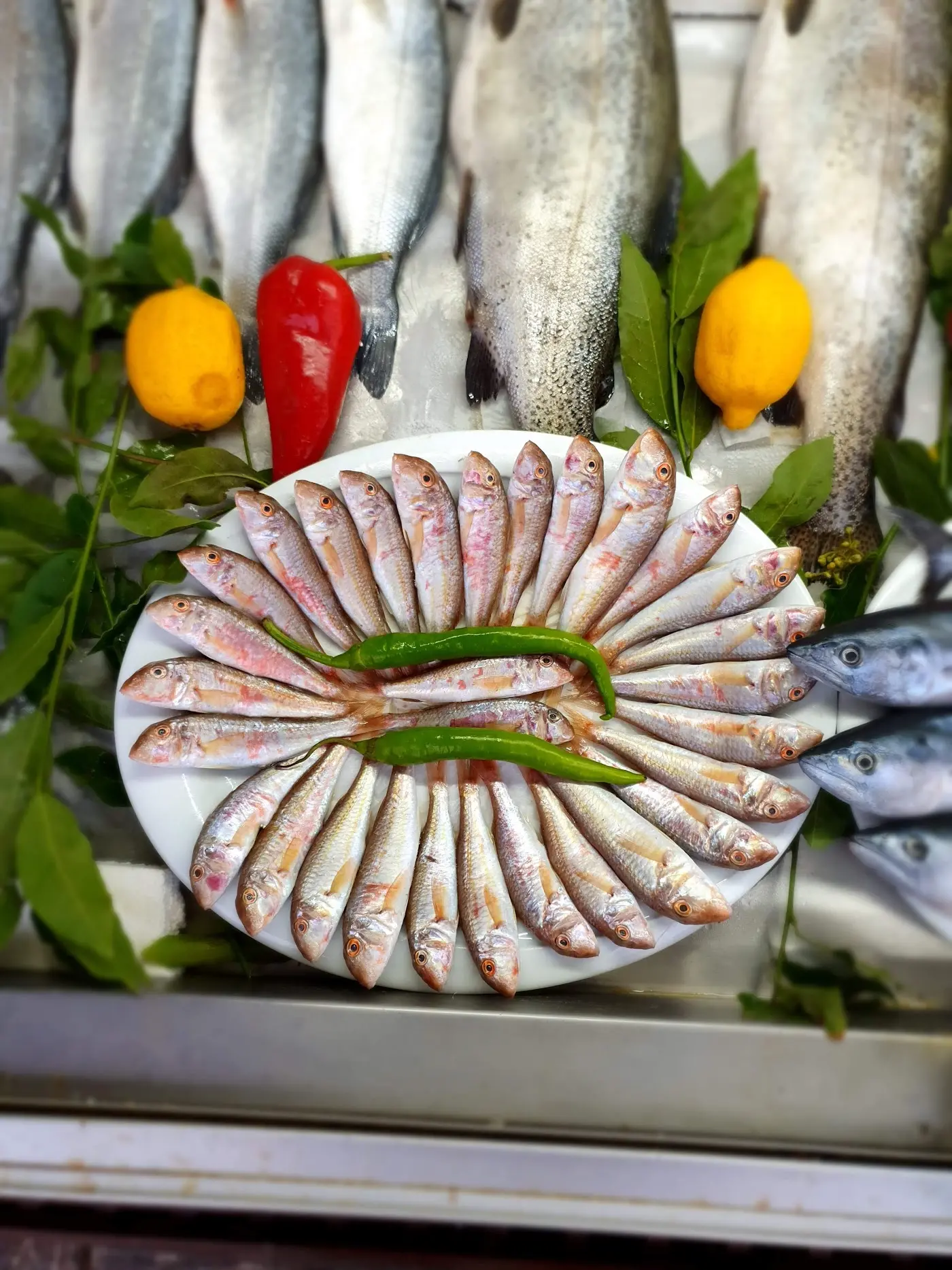 Kısmet Balık Restaurant fotoğraf 2