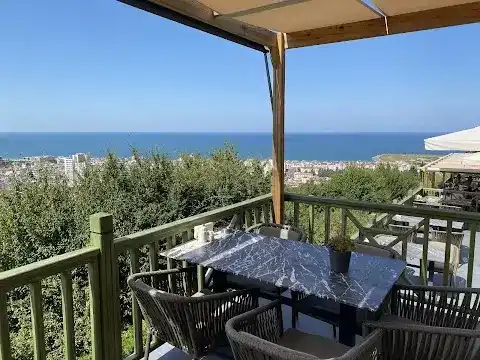 Mantıka palas