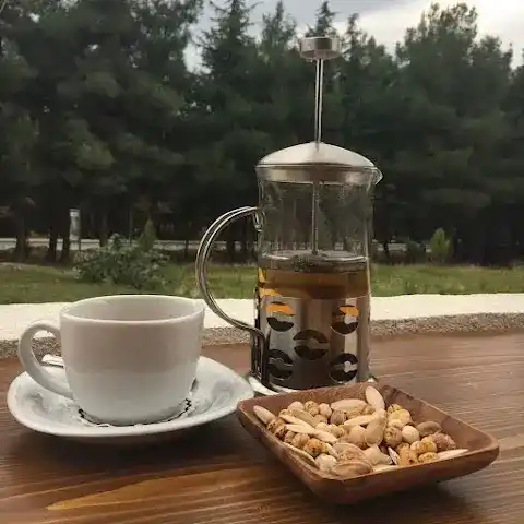 Yolka cafe house fotoğraf 2