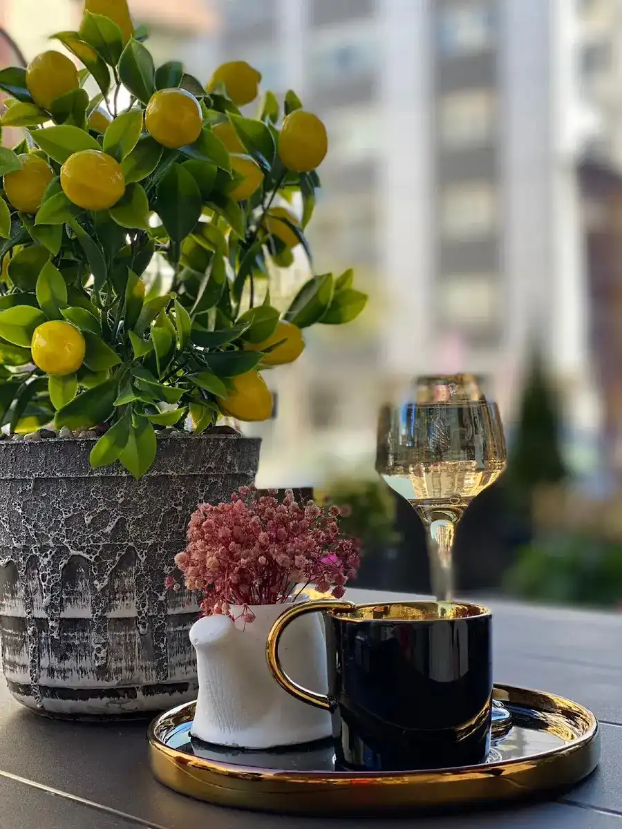 Zaria's Vip Lazer Epilasyon ve Zayıflama Merkezi fotoğraf 3