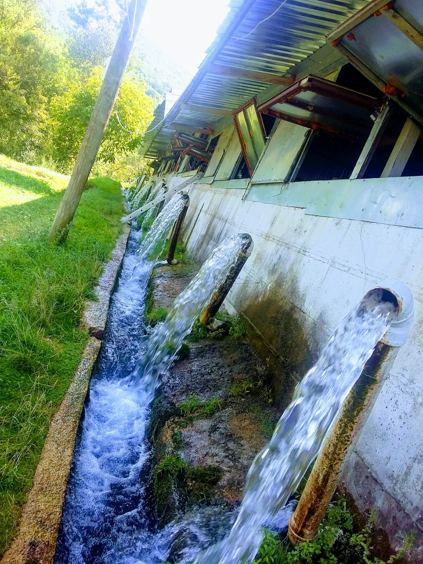 Akdağ Alabalık fotoğraf 3