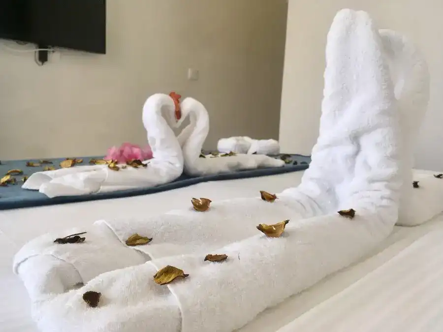 DEMETER BUTİK HOTEL fotoğraf 2