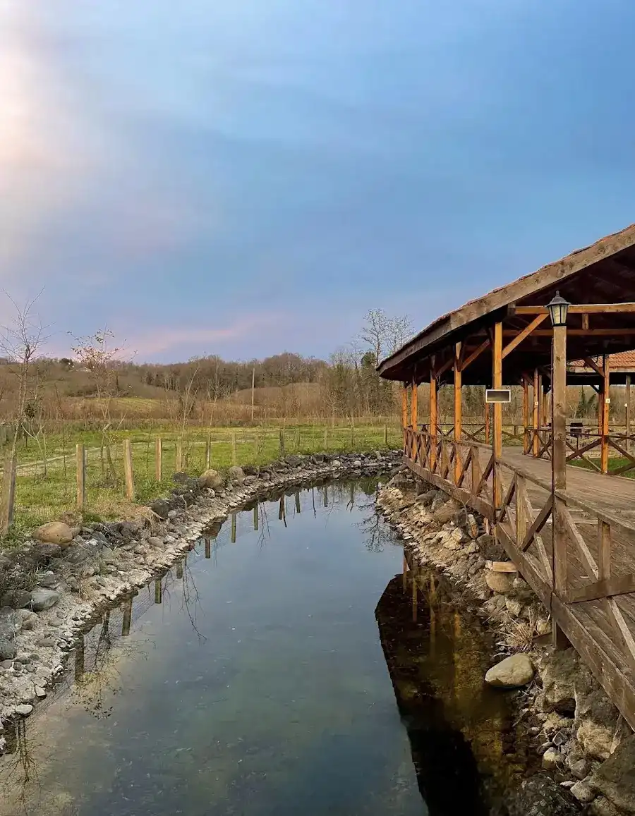 Kayaköprü Mevlüt Usta Alabalık Tesisleri fotoğraf 3