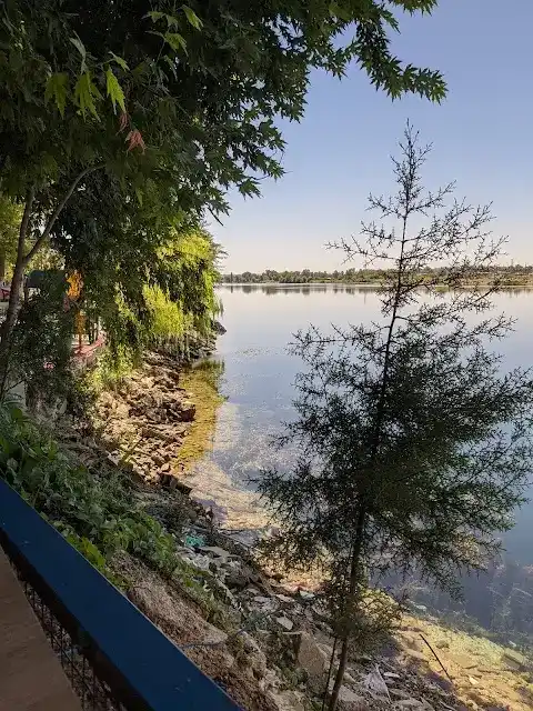 Şahane Et Ve Balık Lokantası fotoğraf 3