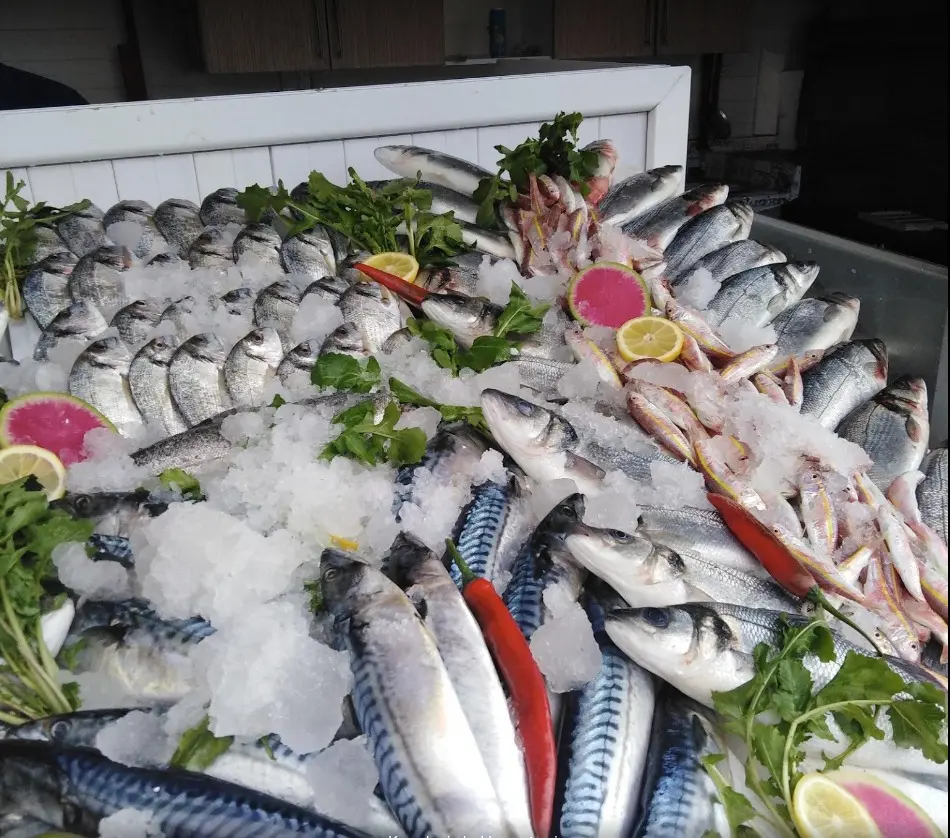Karadeniz balık ve et evi fotoğraf 2