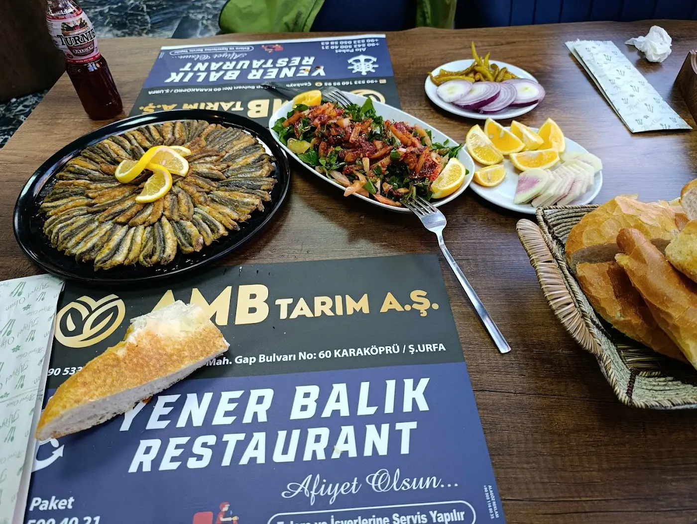 Yener Balıkçılık fotoğraf 3